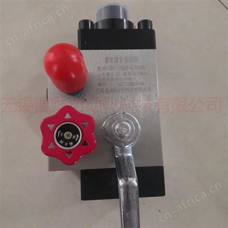 蓄能器控制阀组AJS-20BZ 温纳蓄能器安全阀