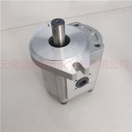 CBK1020/1004双联齿轮泵 高压双联齿轮泵 温纳齿轮油泵厂家
