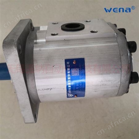 合肥长源液压齿轮油泵唱CBN-F563-BFP CBN-F563-BFH垃圾车洒水车齿轮泵