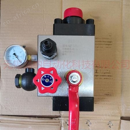 蓄能器控制阀组AJS-20HC 温纳蓄能器安全阀