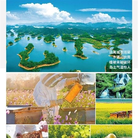 江苏恒亮蜂皇浆冻干粉加盟供应商厂家