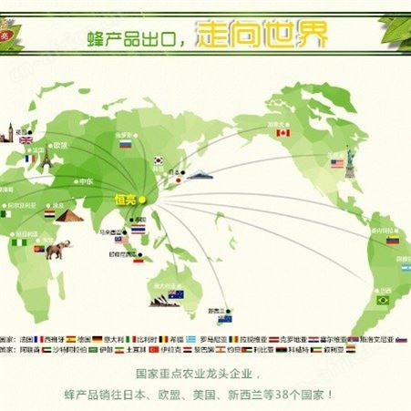 蜂蜜厂家 土蜂蜜供应商