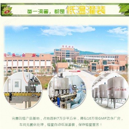 蜂蜜厂家 土蜂蜜供应商
