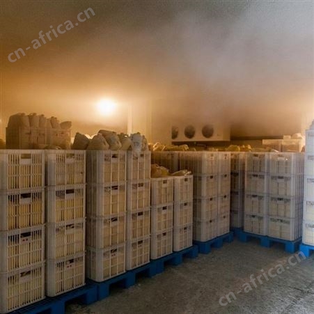 广西恒亮蜂皇浆加盟供应商厂家