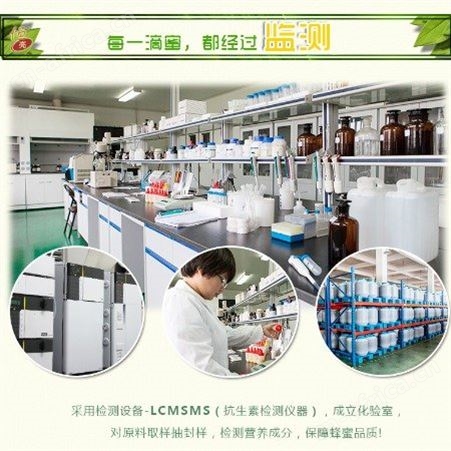 蜂蜜厂家 土蜂蜜供应商