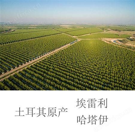 紫胡萝卜汁进口紫胡萝卜汁浓缩紫胡萝卜汁土耳其