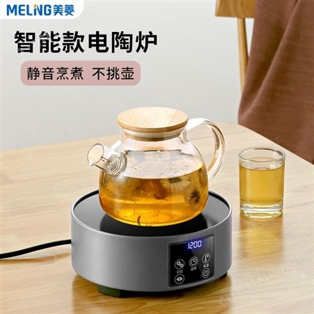 美菱电陶炉煮茶炉家用迷你小型煮茶器铁壶烧水壶泡茶茶具小电磁炉