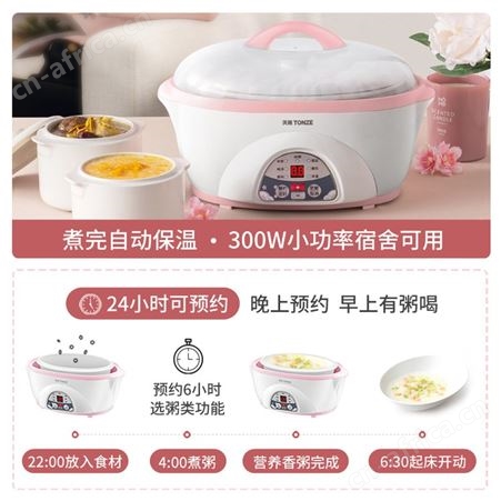 天际蒸炖隔水炖盅 1.6L一锅三胆煲汤煮饭燕窝蒸笼家用电炖炖锅