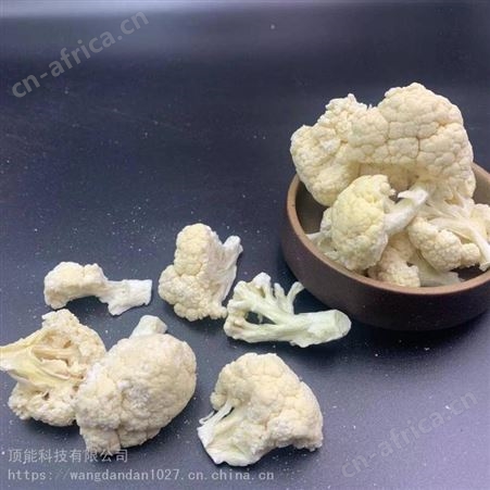 安徽FD冻干蔬菜 食品冻干花菜生产厂家