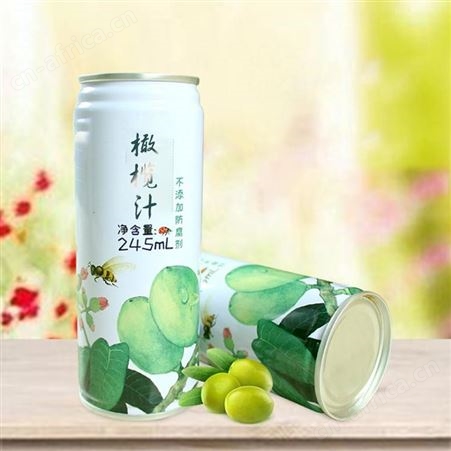 苹果汁 易拉罐苹果汁饮料oem贴牌代加工 剂型定制 包装定制  山东康美