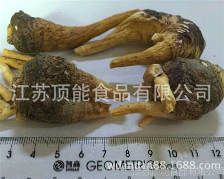 生产 顶能FD玛咖脱水蔬菜 健康绿色有机脱水蔬菜