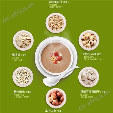名启  贴牌代加工白术茯苓薏米五谷杂粮 代餐粉饱腹代餐营养早餐OEM源头