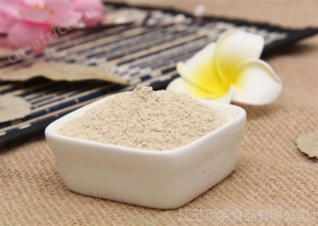 工厂 广东深圳东莞 大蒜粉 食品级四六瓣蒜粉 调味香料香辛料 蒜头粉