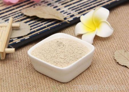 工厂 广东深圳东莞 大蒜粉 食品级四六瓣蒜粉 调味香料香辛料 蒜头粉