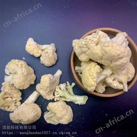 安徽FD冻干蔬菜 食品冻干花菜生产厂家