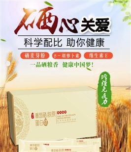 名启 木瓜葛根汁天然葛根粉果汁即冲即饮OEM加工定制