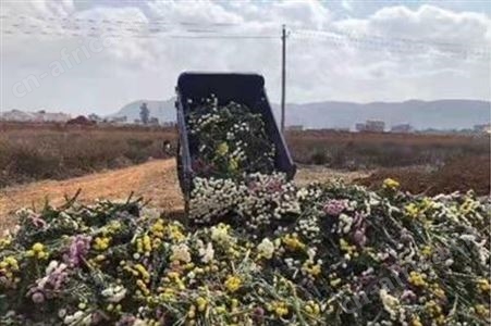 废标签销毁 复合材料销毁 苏州废布料地毯销毁公司