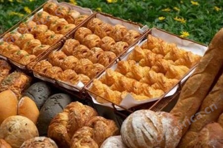 上海不合格生鲜蔬菜销毁工厂