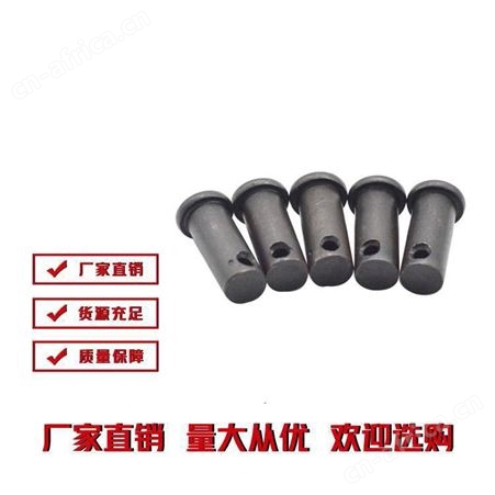  销轴铆钉 规格齐全 雄杰紧固件