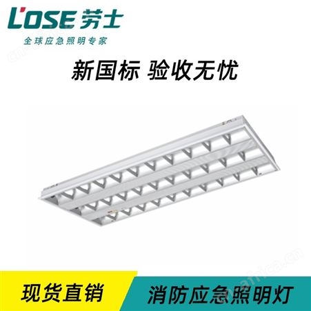 劳士应急照明集中电源组合式T8LED格栅灯盘 11.1V-7.4V锂电池L-ZLZD-E50W1278