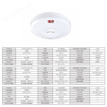 劳士集中控制系统疏散通道应急照明直边声光控感应大号吸顶LED灯L-ZFZD-E5W1275