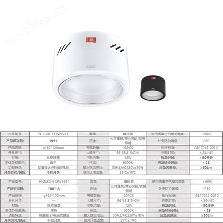 劳士消防电源应急照明集中电源黑-白5寸12W明装自带强启LDE筒灯N-ZLZD-E12W1961