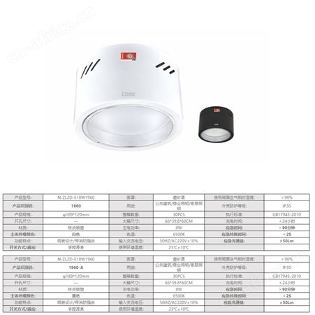 劳士智能控制照明LED明装自带强启黑-白6寸18W应急筒灯N-ZLZD-E18W1960