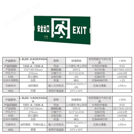 劳士nst防火塑料小型超窄边框安全出口双面带强启吊挂式应急灯L-BLZD-2LROEI5WDAG