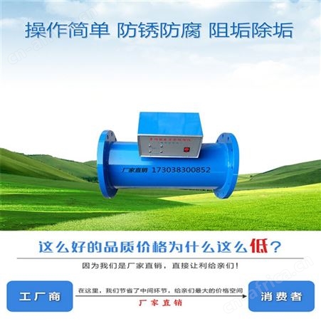 电子水处理器 远湖 法兰DN400空调冷却水高频电子水处理仪 石家庄