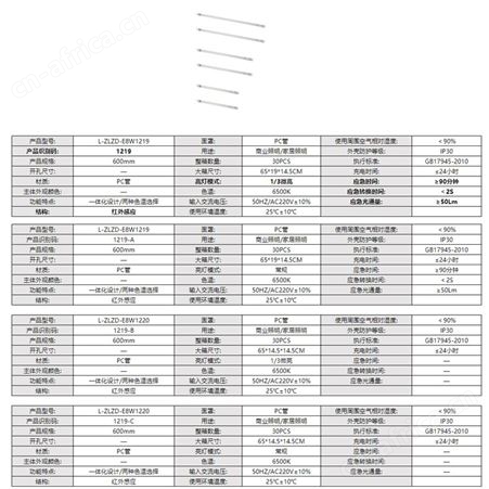 劳士集中电源集中控制型二总线LED节能照明红外感应600mmT8应急灯管L-ZLZD-E8W1219