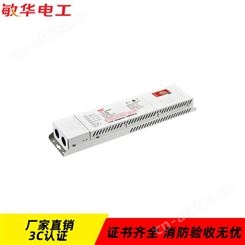 敏华适配48W面板灯50W投光灯大功率中款锂电池应急电源N-ZLZD-E80W1978 N-ZLZD-E80W1979