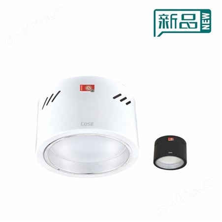 劳士智能控制照明LED明装自带强启黑-白6寸18W应急筒灯N-ZLZD-E18W1960