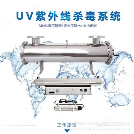 水箱自洁消毒器WTS-2A 远湖紫外线消毒器 框架式紫外线消毒器模块 水箱自洁消毒器