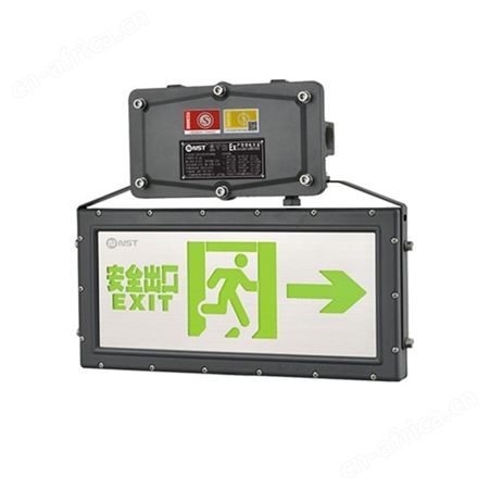 拿斯特GB51309-2018标准A型消防应急智能照明IP65双面防水防爆标志灯N-BLJC-2LROEⅠ0.5WZGB