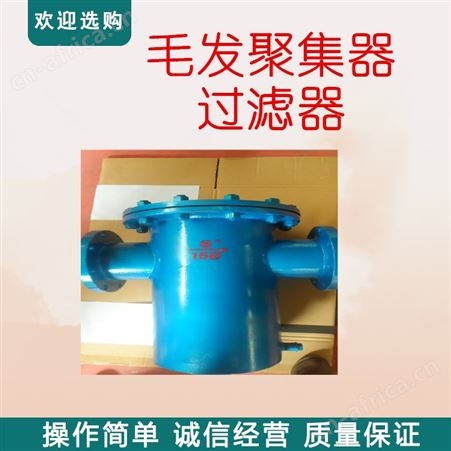 远湖厂家供应T型过滤器 毛发聚集器价格 污水袋式过滤器 法兰过滤