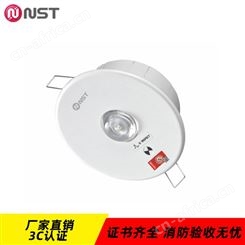 拿斯特DC36V智能A型应急照明疏散指示系统透镜式天花灯N-ZFJC-E3W8114