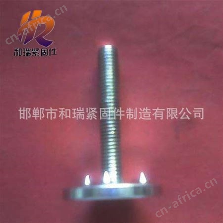 高质量皮带螺丝 规格齐全 现货供应 欢迎和瑞紧固件厂家
