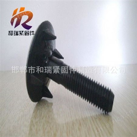 高质量皮带螺丝 规格齐全 现货供应 欢迎和瑞紧固件厂家