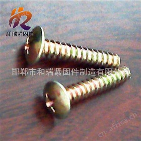 和瑞 产地货源 5×14 自攻 十字 盘头 自攻螺丝