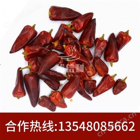 优信和 贵州辣椒头批发 现货量大从优欢迎前来咨询-优友供应链