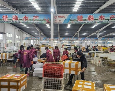 2021年9月楚淼水产大量批发_鲜活大闸蟹/清水大闸蟹_2两规格公蟹/母蟹_冷链发货包直达费用