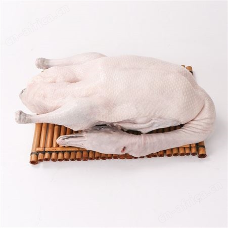 冰鲜光鹅广东正宗棚养鹅