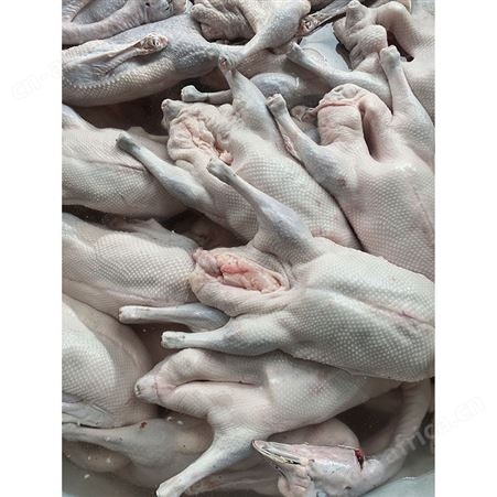 白条烧鹅 正宗黑棕鹅 净光鹅 去膛黑棕鹅 鲜鹅皇