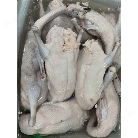 白条烧鹅 正宗黑棕鹅 净光鹅 去膛黑棕鹅 鲜鹅皇