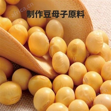 火锅专用特制豆母子原始风味传统制造9.5公斤豆豉-优友供应链