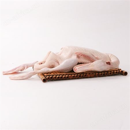 白条鸭田鸭广东脆皮烧鸭专用鸭