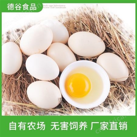 农家散养蛋_农家粗粮蛋批发价_德谷食品_营养丰富
