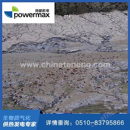 污泥热解气化发电系统
