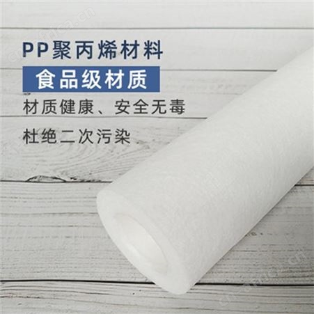 吉林PP微孔折叠滤芯保安过滤器滤芯精密过滤折叠滤芯PP棉滤芯