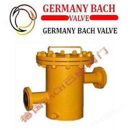 德国BACH巴赫进口衬氟Y型过滤器，Y型衬氟过滤器，美国Y型过滤器，英国Y型过滤器，日本Y型过滤器